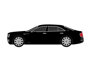 CarDress indoor car cover for Bentley Flying Spur side view