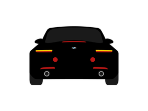 CarDress indoor car cover for BMW Z8 rear view